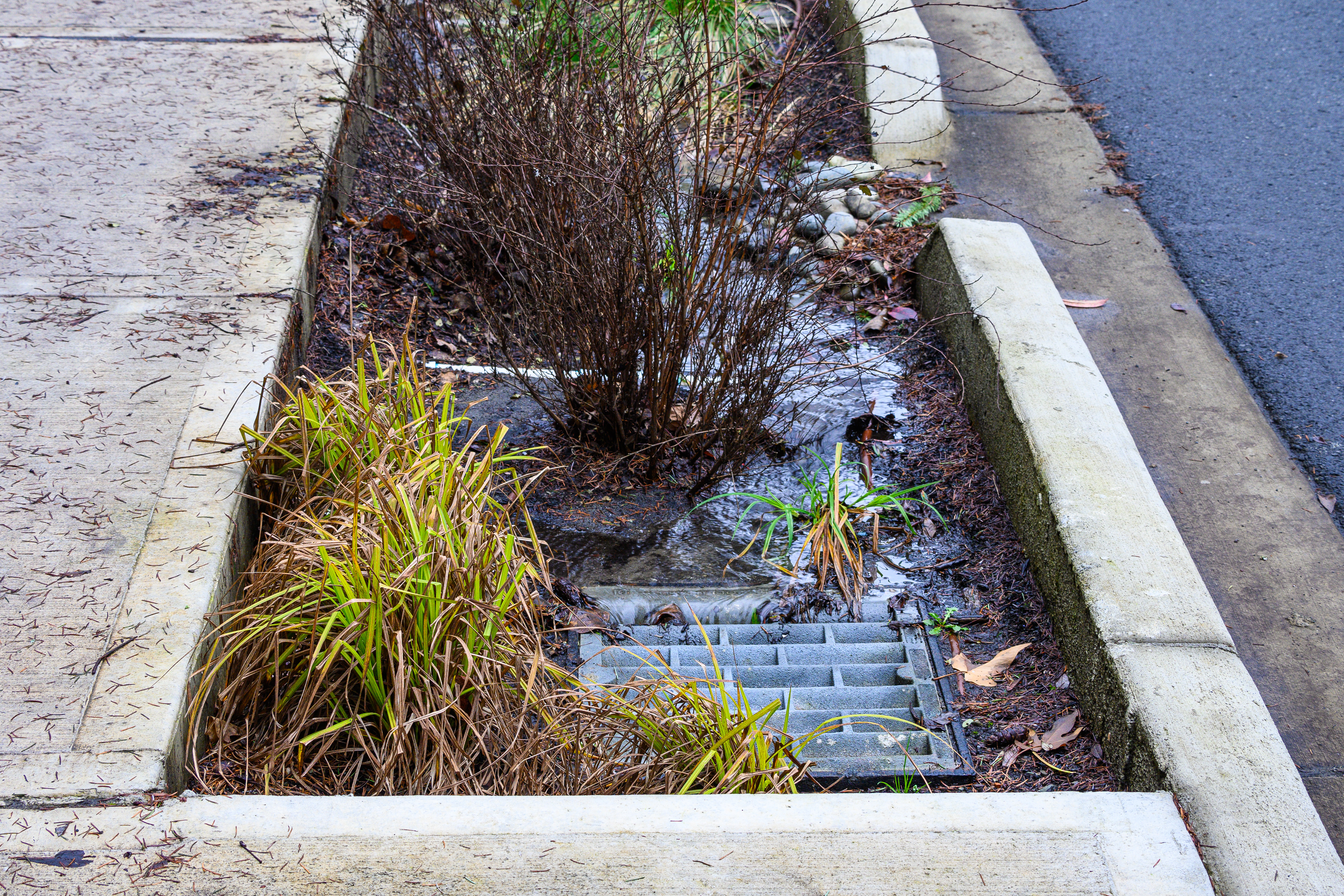 Active Transportation